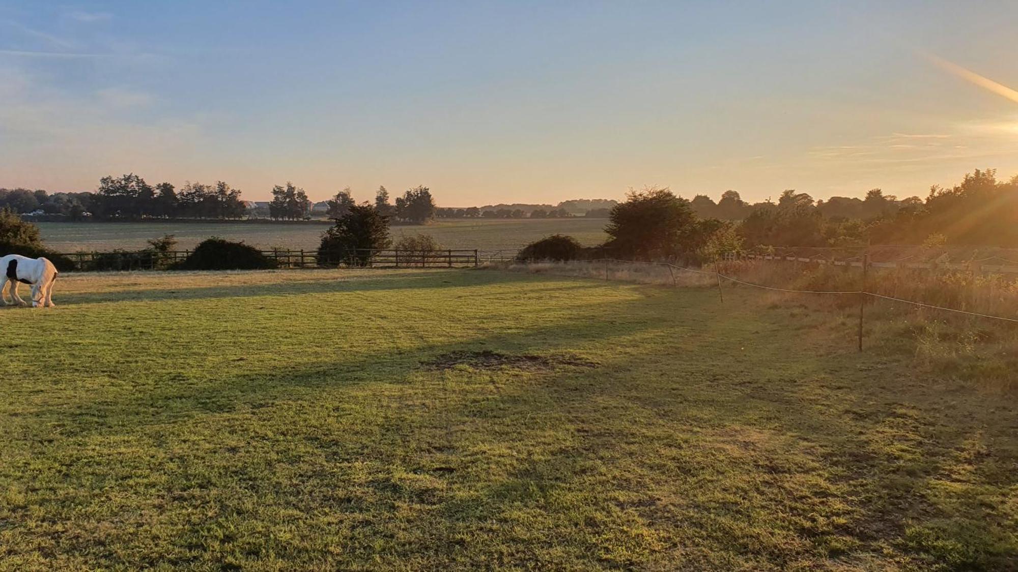 The Fox Pod At Nelson Park Riding Centre Ltd Glamping Pod Birchington, Ramsgate, Margate, Broadstairs, Also Available We Have The Pony Pod And Trailor Escapes Converted Horse Box