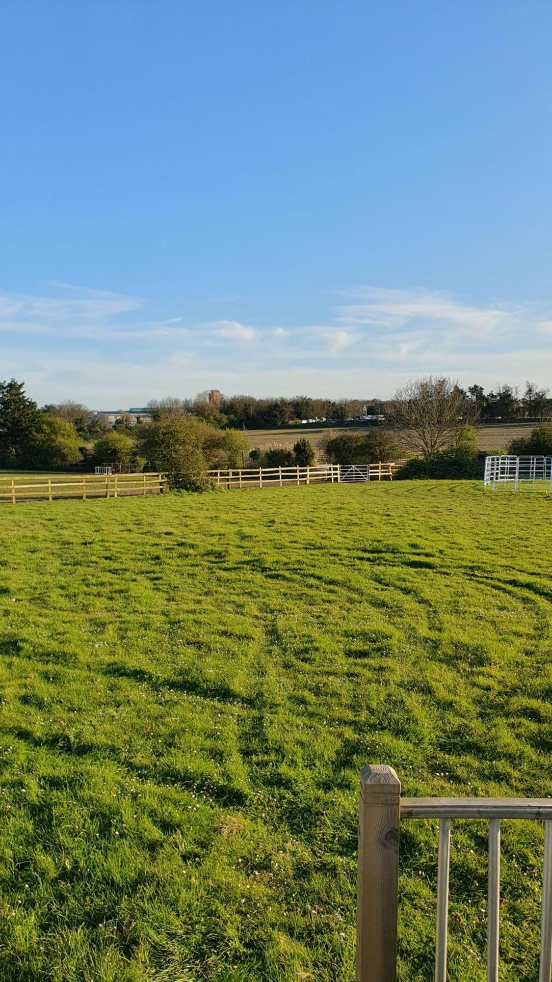 The Fox Pod At Nelson Park Riding Centre Ltd Glamping Pod Birchington, Ramsgate, Margate, Broadstairs, Also Available We Have The Pony Pod And Trailor Escapes Converted Horse Box